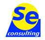 SE Consulting